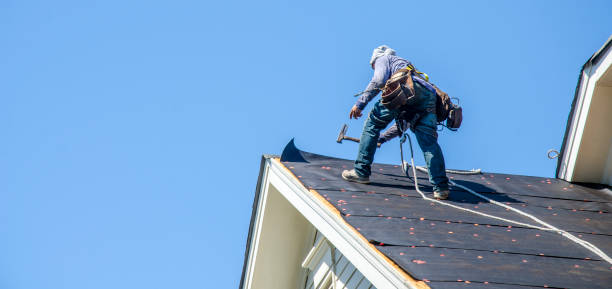 Best Roof Gutter Cleaning  in Bonneau Beach, SC